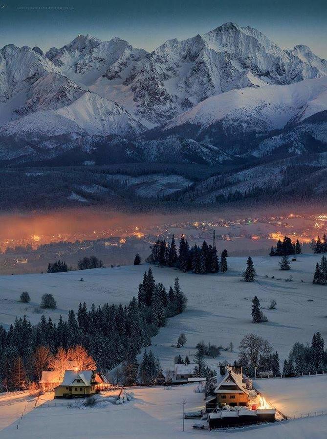 Willa 14 Zakopane Buitenkant foto