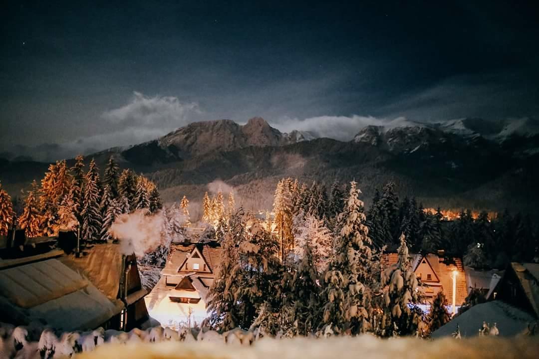 Willa 14 Zakopane Buitenkant foto