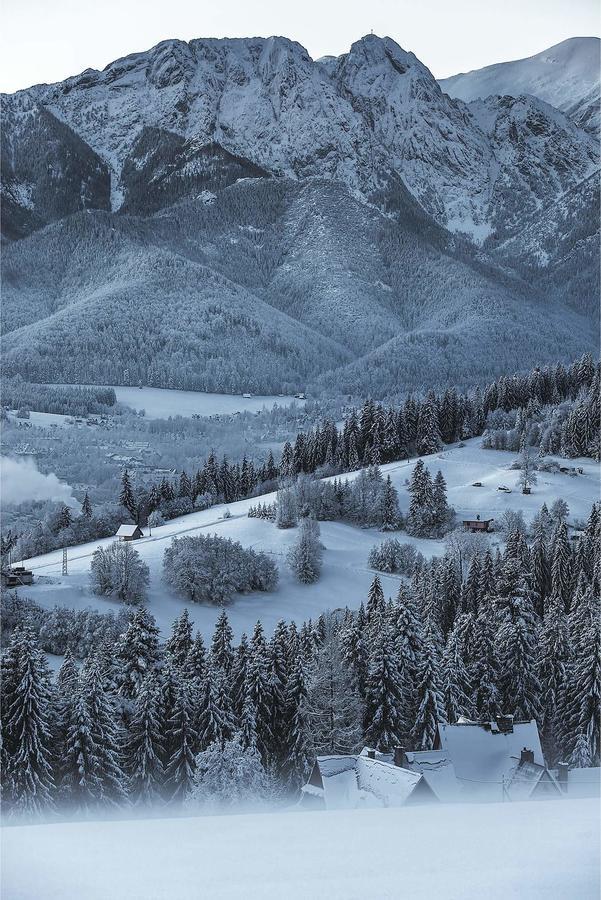 Willa 14 Zakopane Buitenkant foto
